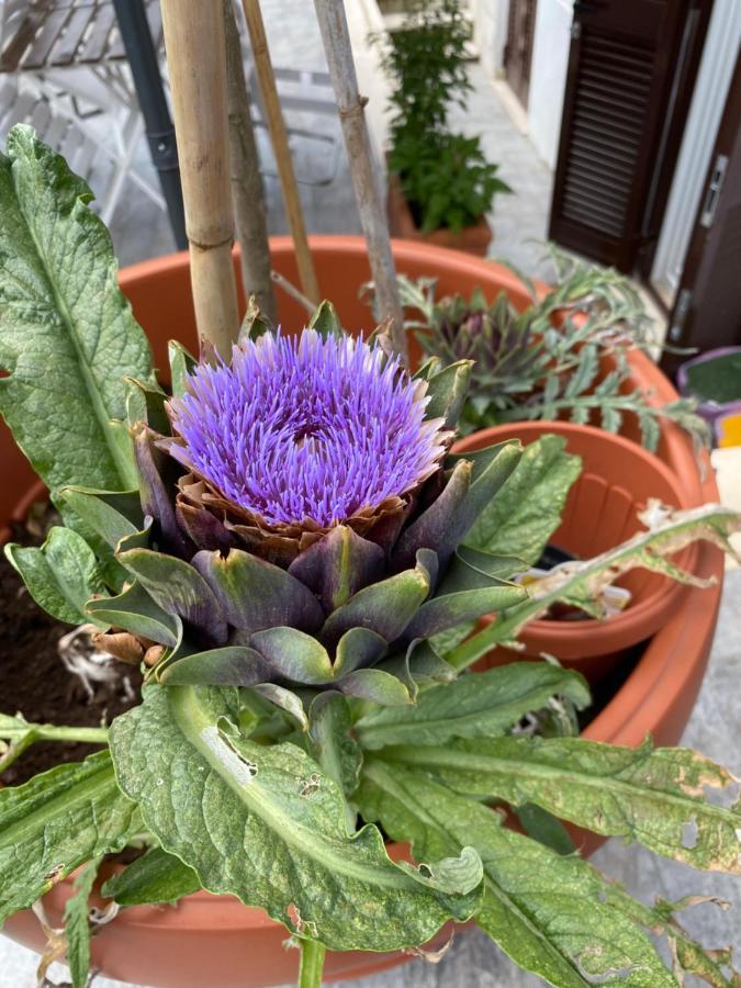 Officinale Rome Apartment, Pineta Sacchetti Екстер'єр фото